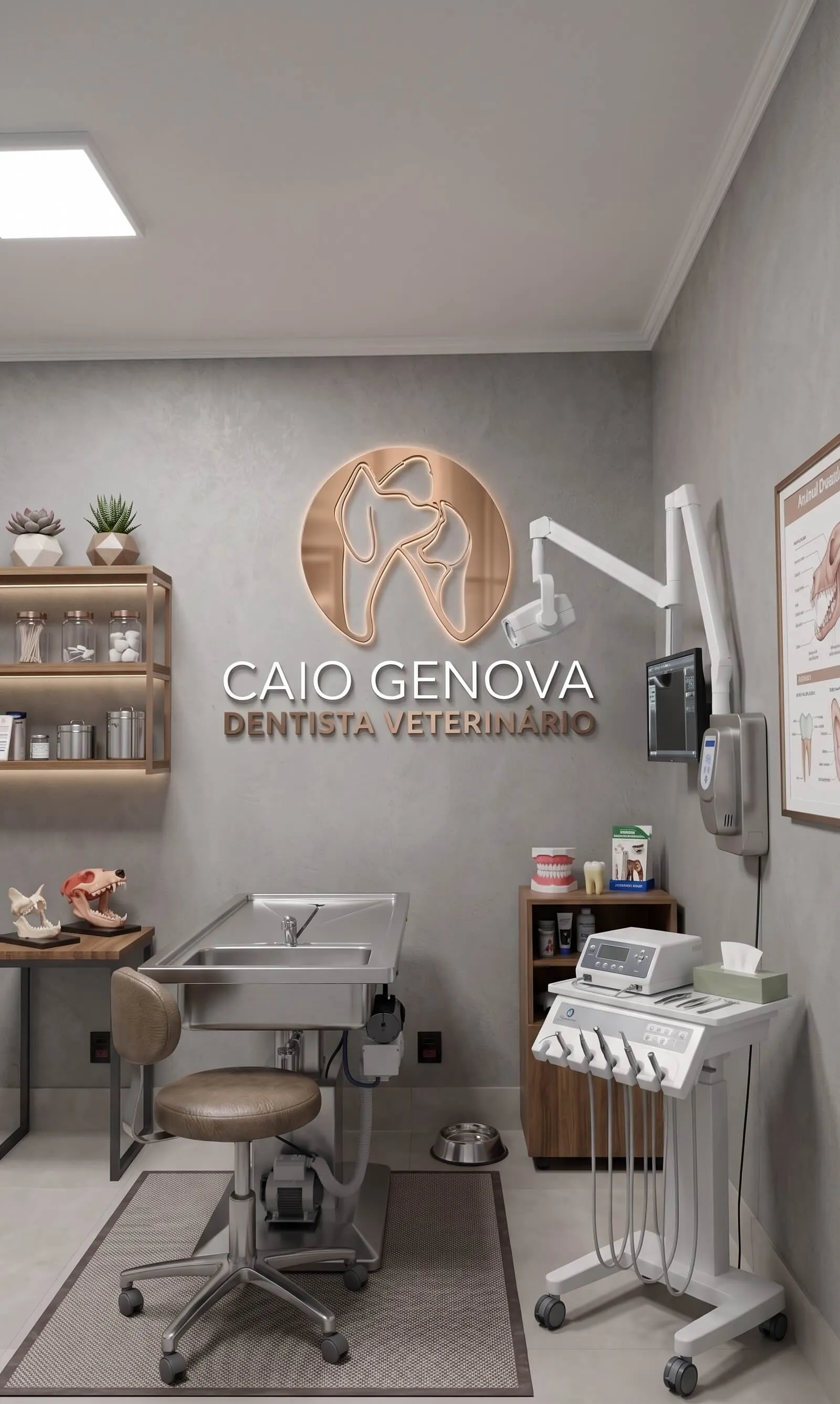 Periodontia e limpeza de tártaro em cães e gatos