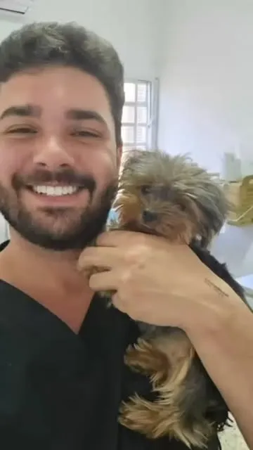 Endodontia veterinária: tratamento de canal no pet