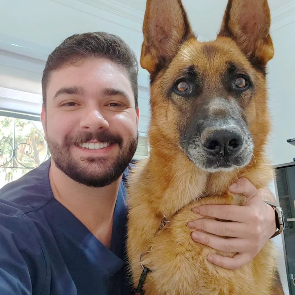 Mau hálito em cachorro: quando é sinal de doença