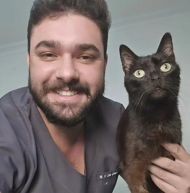 Cirurgias orais e extração dentária em cães e gatos