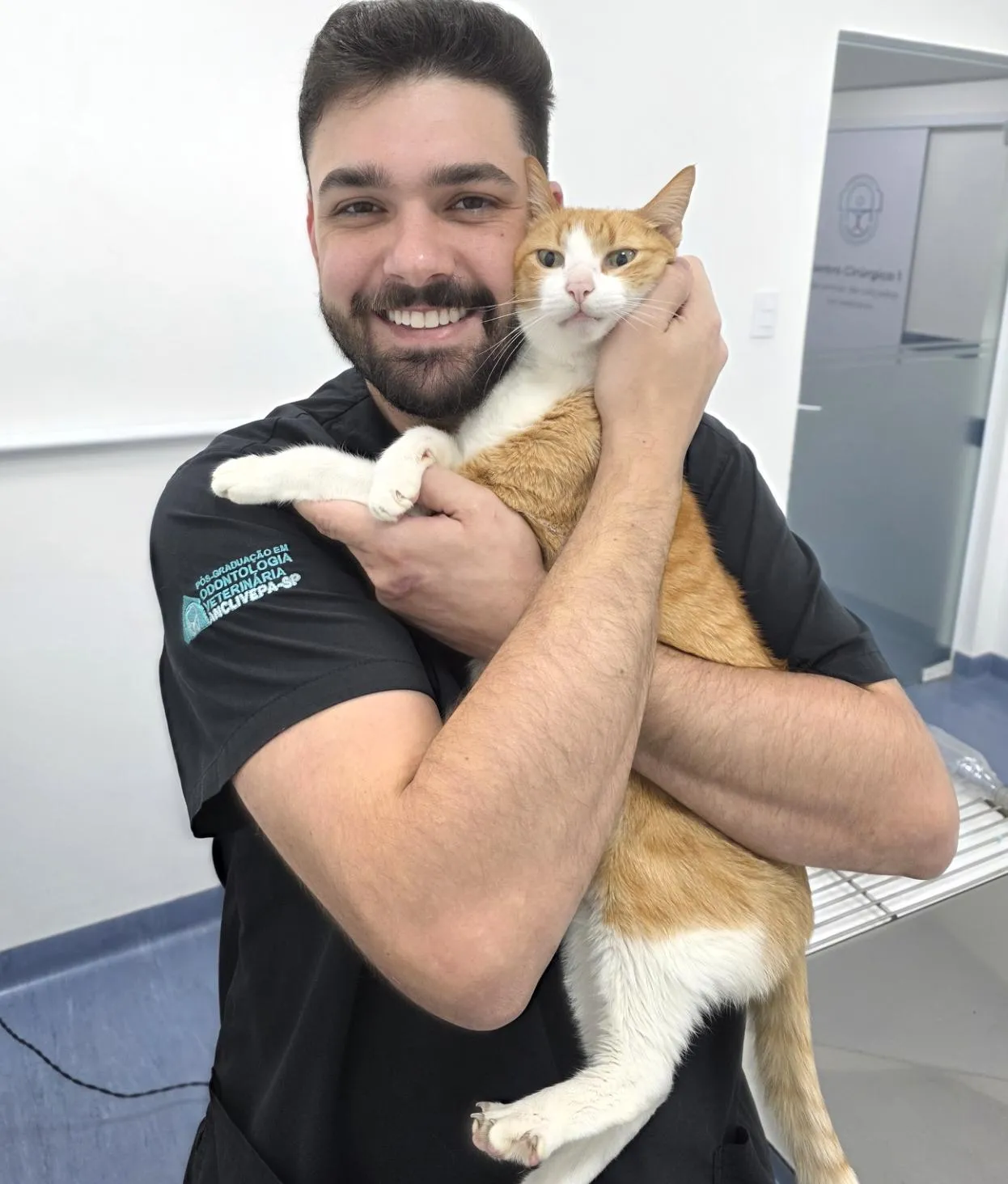 Avaliação de dor e doença oral em gato