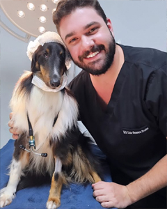 Atendimento de odontologia veterinária